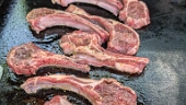 Lamb Chops